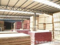 Commercial Okoume Plywood