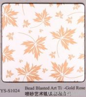Bead Blasted Stainless Steel Sheet