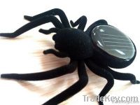 Solar Spider