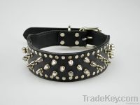 Stud and spike black leather dog colalrs for rodeo