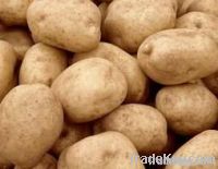 Potatoes