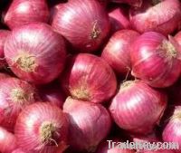 Red Onions