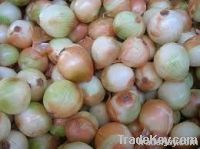 White Onions