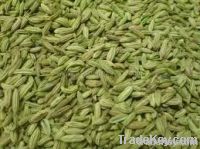 fennel seeds