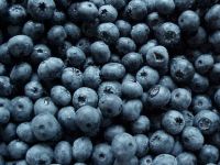 Blueberry Argentinian Blueberries Arandanos
