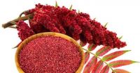 Organic Sumac