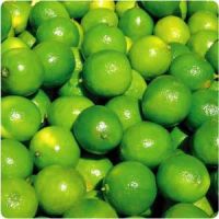 Limes