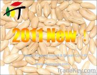 https://ar.tradekey.com/product_view/2011-China-Peanut-1904197.html