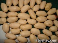 Blanched Peanut