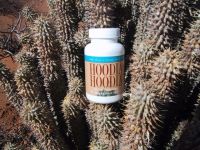 Hoodia Hoodia