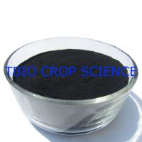 https://fr.tradekey.com/product_view/Ascophyllum-Nodosum-Fertilizer-Seaweed-Extract--3668060.html