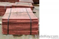 Copper Cathode