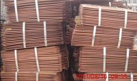 Copper Cathode For Export