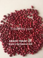 Red kidney beans from Kyrgyzstan
