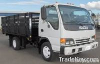 Used ISUZU Truck