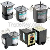 AC Separated Type, Variable Speed, Induction Motor