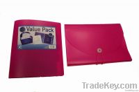 File Bag and Folder in bright Color
