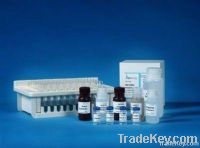 Diethylstilbestrol ELISA Kit