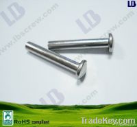 Zinc plated rivet