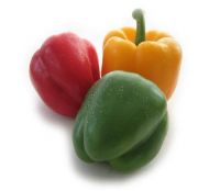 Capsicum