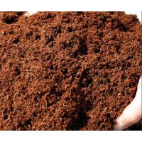 Cocopeat for sale - coco peat in bag - coco pith price for exports - cocopeat loose