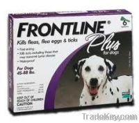 Frontline Plus