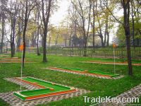 MiniGolf35 sport equipment