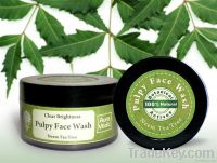 Neem Tea Tree Pulpy Face