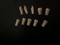 frasaco teeth
