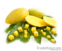 https://ar.tradekey.com/product_view/Cat-Chu-Mango-5265667.html