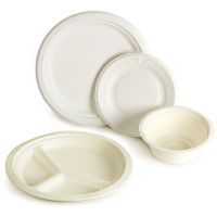 Disposable plate Different Sizes