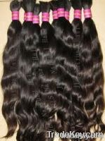 Virgin Human Hair