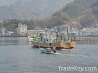 Small Trawler Boat