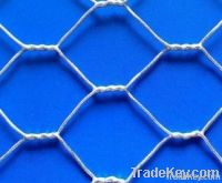 PVC Coated Galvanized Welded Wire Mesh