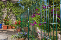 garden wire mesh fence