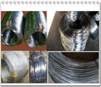 low price electro galvanized iron wire