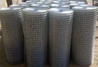 Anping high quality Welded Wire Mesh for fence(factory price and export)