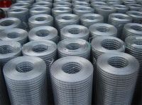 Galvanized welded wire mesh/ low price welded wire mesh