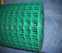 High-quality Welded Wire Mesh (Stainless Steel & Galvanized)