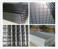 Best Selling!Galvanized Welded wire mesh(ISO9001)