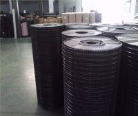 galvanized welded wire mesh (factory price)