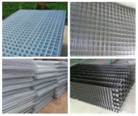 galvanized welded wire mesh (factory price)