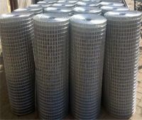 Electric galvanized/hot-dipped galvanized/pvc coated or stainless steel welded wire mesh