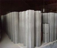 Galvanized Welded Wire Mesh