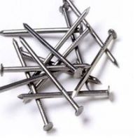 Nails, Good Quality Common Nails Ploished (1/2"-6")