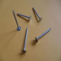 Really Factory  Polish Wire Nails