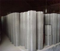 Welded wire mesh ( Electro or hot dipped galvanized )