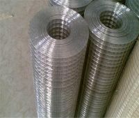 Best Selling Hot dip galvanized welded wire mesh ( factory & ISO9001)