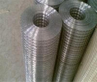 High Quality Electro Galvanized Welded Wire Mesh with ISO9001:2008 (ISO9001)