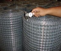 In Stock Galvanized Welded Wire Mesh (Factory)